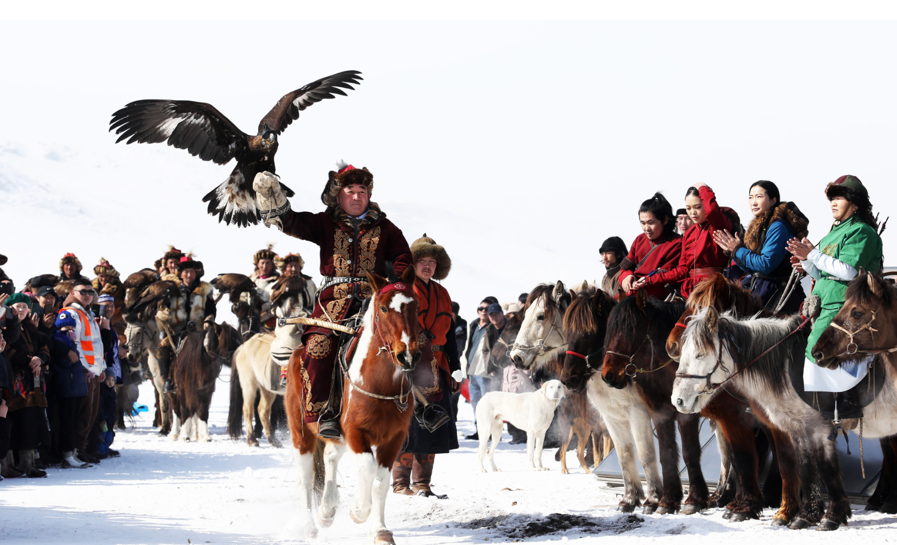 “Бүргэдийн баяр“ Дэлхийн аварга шалгаруулах тэмцээн болж өргөжинө